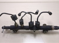  Рампа (рейка) топливная Nissan Pathfinder 2004-2014 20369475 #1