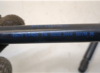 654705NN0A Амортизатор капота Infiniti QX50 2017- 20369588 #2