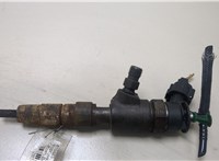 1980S5 Форсунка топливная Citroen Berlingo 2008-2012 20369713 #1