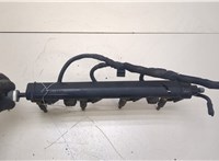  Форсунка топливная Peugeot 3008 2009-2016 20370645 #2