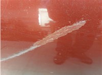  Дверь боковая (легковая) Nissan Qashqai 2006-2013 20372682 #8