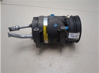  Компрессор кондиционера Renault Scenic 1996-2002 20372766 #1