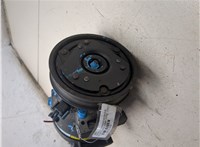  Компрессор кондиционера Renault Scenic 1996-2002 20372766 #2