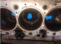 11112359836 Блок цилиндров (Шорт блок) BMW X5 E70 2007-2013 20373001 #26