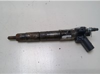 13537805430 Форсунка топливная BMW X5 E70 2007-2013 20373026 #1