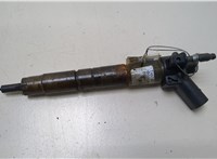 13537805430 Форсунка топливная BMW X5 E70 2007-2013 20373027 #1