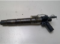 13537805430 Форсунка топливная BMW X5 E70 2007-2013 20373028 #1