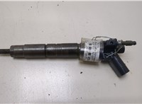13537805430 Форсунка топливная BMW X5 E70 2007-2013 20373035 #1