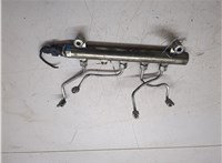 96859150 Рампа (рейка) топливная Chevrolet Captiva 2006-2011 20373228 #1