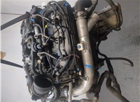 059100033E Двигатель (ДВС) Audi A8 (D3) 2002-2010 20373271 #8