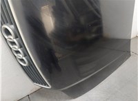 4B0823029D Капот Audi A6 (C5) 1997-2005 20373561 #9