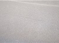  Полка багажника Ford Focus 2 2005-2008 20373594 #3
