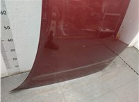  Решетка радиатора Audi A4 (B5) 1994-2000 11383714 #7