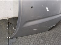 5330142030 Капот Toyota RAV 4 2000-2005 20373799 #2