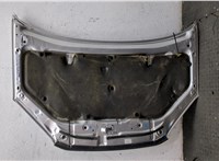5330142030 Капот Toyota RAV 4 2000-2005 20373799 #13