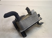  Теплообменник Audi A8 (D3) 2002-2010 20373933 #1