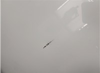  Капот Honda Civic 2015-2021 20373473 #5