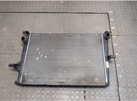  Радиатор охлаждения двигателя Renault Megane 3 2009-2016 20374067 #1