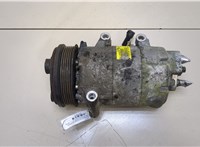  Компрессор кондиционера Ford Focus 2 2008-2011 20375013 #1
