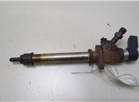  Форсунка топливная Ford Focus 2 2008-2011 20375018 #1