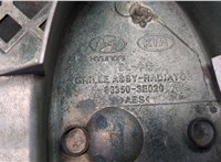  Решетка радиатора KIA Sorento 2002-2009 20375478 #3