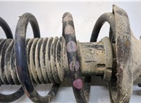  Амортизатор подвески Volkswagen Bora 20375874 #3