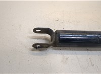  Амортизатор подвески KIA Ceed 2007-2012 20376439 #3