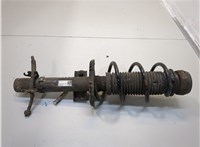  Амортизатор подвески Seat Ibiza 4 2008-2015 20376492 #1
