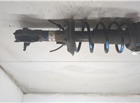 6N0413031J, 6K0411105H Амортизатор подвески Volkswagen Polo 1999-2001 20376496 #4