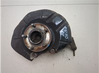 1783318, 2338664, 5259077 Ступица (кулак, цапфа) Ford Kuga 2016-2019 20376659 #5