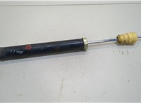  Амортизатор подвески Hyundai Santa Fe 2000-2005 20376833 #1