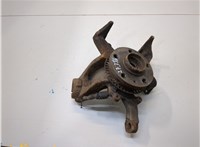  Ступица (кулак, цапфа) Audi A3 (8L) 1996-2003 20377117 #1
