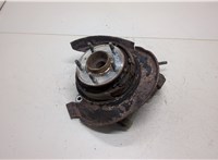  Ступица (кулак, цапфа) Chevrolet Captiva 2011-2016 20378284 #1