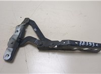  Петля капота Ford C-Max 2015-2019 20378300 #1