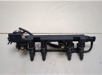  Форсунка топливная Renault Clio 1998-2008 20378638 #1