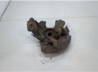  Ступица (кулак, цапфа) Volkswagen Golf 4 1997-2005 20378772 #2