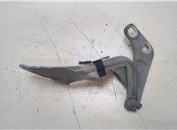 1667708, 7S7AA16800AG Петля капота Ford Mondeo 4 2007-2015 20379023 #1