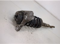  Амортизатор подвески Audi A4 (B6) 2000-2006 20379044 #3