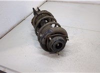  Амортизатор подвески Nissan Elgrand 2002-2010 20379072 #3