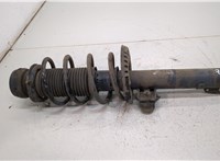  Амортизатор подвески Skoda Fabia 2007-2014 20379123 #1