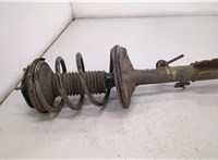  Амортизатор подвески Toyota RAV 4 2000-2005 20379274 #1
