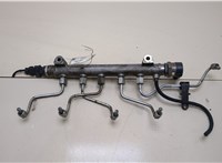  Рампа (рейка) топливная KIA Sportage 2004-2010 20379311 #1