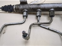  Рампа (рейка) топливная KIA Sportage 2004-2010 20379311 #2