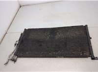  Радиатор кондиционера Jaguar X-type 20379921 #1