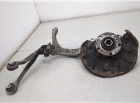  Ступица (кулак, цапфа) Audi A4 (B6) 2000-2006 20382128 #1