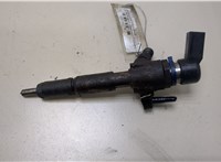  Форсунка топливная Ford Transit (Tourneo) Connect 2002-2013 20382275 #1
