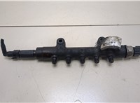 1570P1 Рампа (рейка) топливная Citroen Jumper (Relay) 2006-2014 20382539 #1