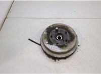  Ступица (кулак, цапфа) Toyota RAV 4 1994-2000 20382701 #1
