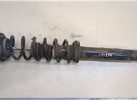  Амортизатор подвески BMW 5 F10 2010-2016 20382891 #1