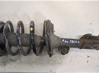  Амортизатор подвески Hyundai Santa Fe 2005-2012 20383066 #1